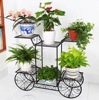 1556428711191190.jpg 1537261454131573.jpg